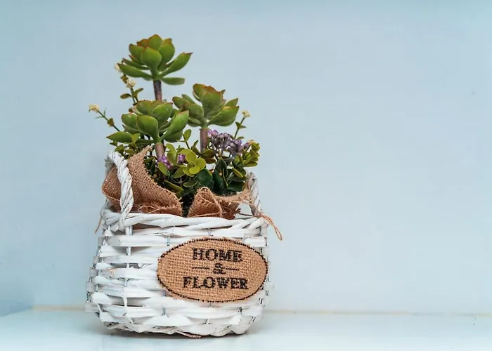 בית נופש Quinta Do Charco