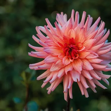 Holiday home Quinta Do Charco *