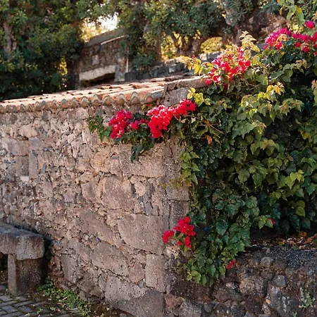 Quinta Do Charco ריביירה גראנדה