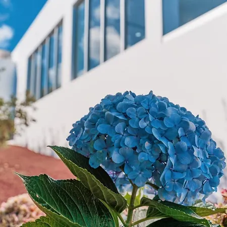 Holiday home Quinta Do Charco *