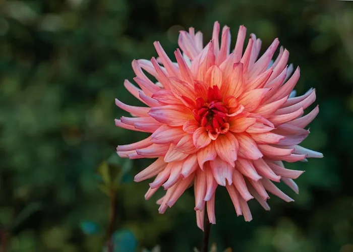 Dom wakacyjny Quinta Do Charco *