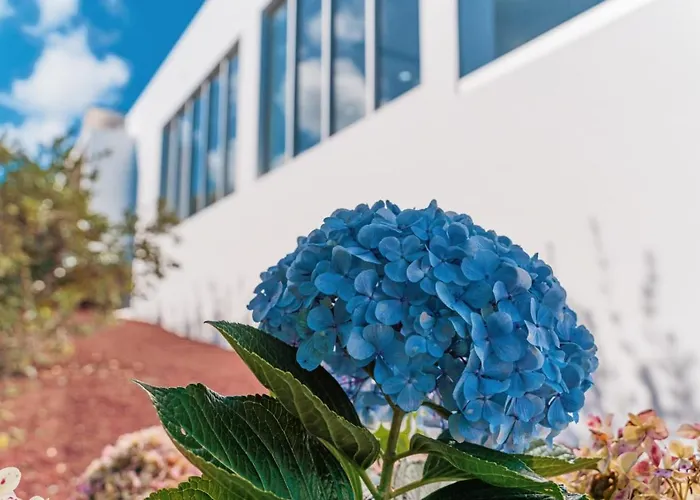 Holiday home Quinta Do Charco *